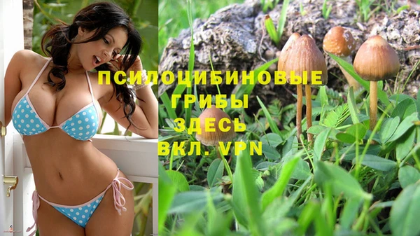 прущая мука Алексеевка