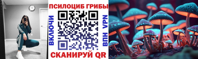 Псилоцибиновые грибы мицелий  Фролово 