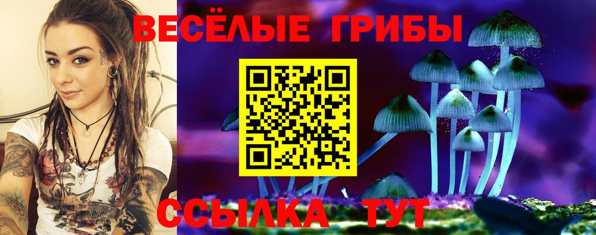 Псилоцибиновые грибы Psilocybe Фролово