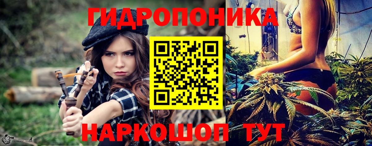 Конопля Bruce Banner  Каннабис SATIVA & INDICA  Вход с VPN  Фролово  Марихуана марихуана  Бошки марихуана Bruce Banner 